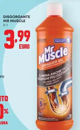 Panorama Disgorgante Mr Muscle offerta