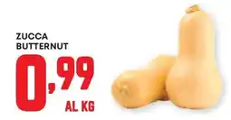 Panorama Zucca butternut offerta
