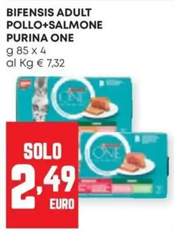 Bifensis adult pollo+salmon purina one