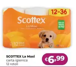 La Saponeria Scottex La Maxi carta igienica offerta