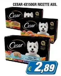 Maury's Cesar senior 10+ offerta