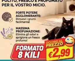 Maury's Pulitore per gatti offerta