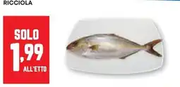 Pam Ricciola offerta