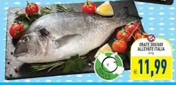Pim Supermercati Orate offerta
