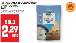 Pam Parmigiano Reggiano DOP grattugiato Pam offerta