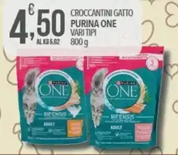 Iper Romagnolo Crocchettini gatto Purina One offerta