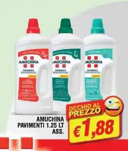 Maury's Amuchina pavimenti offerta