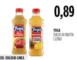 Carico Cash & Carry Yoga succo di frutta offerta