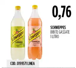 Carico Cash & Carry Schweppes bibite gassate offerta