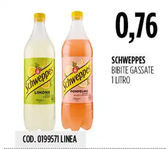 Carico Cash & Carry Schweppes bibite gassate offerta