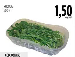 Carico Cash & Carry Rucola offerta