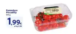Sigma Pomodoro Piccadilly offerta