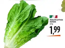 Emisfero Insalata lattuga romana offerta