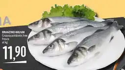 Emisfero Branzino 400/600 offerta