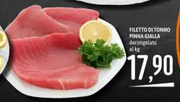 Emisfero Filetto di tonno pinna gialla offerta
