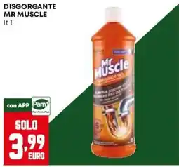 Pam Disgorgante Mr Muscle offerta