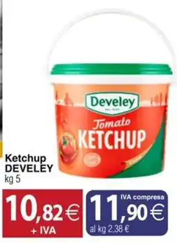 Docks Cash&Carry Ketchup Develey offerta