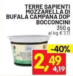 Centro Commerciale Discount Terre Sapienti Mozzarella di Bufala Campana DOP Bocconcini offerta