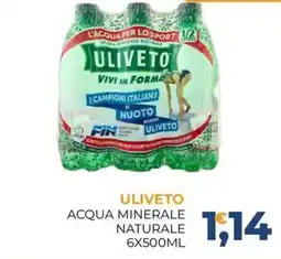 Moderna Uliveto acqua minerale naturale offerta