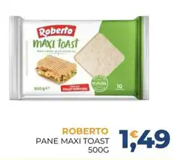 Moderna Roberto Pane Maxi Toast offerta