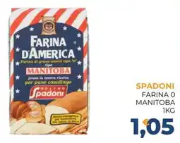 Moderna Farina d'America Manitoba offerta