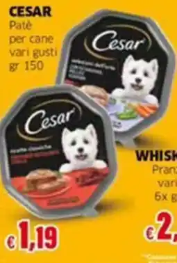 Mercati Alimentari Cesar Paté per cane offerta