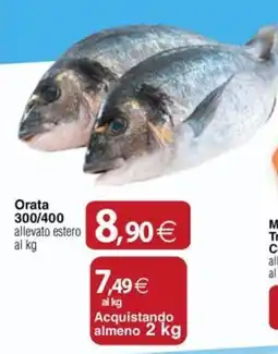 Docks Cash&Carry Orata offerta
