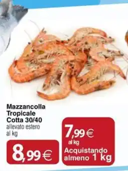Docks Cash&Carry Mazzancolla Tropicale offerta