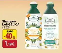 Docks Cash&Carry Shampoo L'Angelica offerta