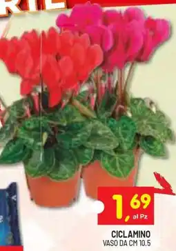 Centro Commerciale Discount Ciclamino offerta