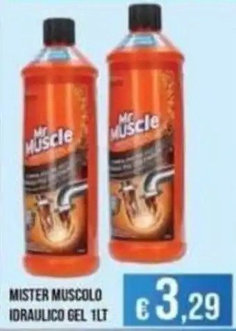 Mr Muscle idraulico gel