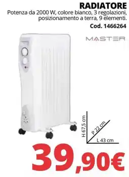 Brico Io Radiator Master offerta