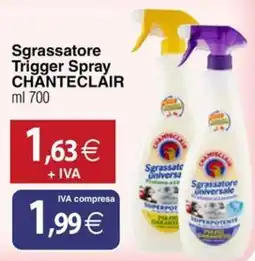 Docks Cash&Carry Sgrassatore Trigger Spray Chanteclair offerta