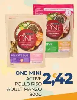 Moderna Purina One Mini Active Pollo Riso Adult Manzo offerta