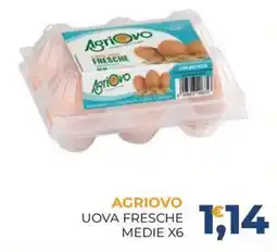 Moderna AgriOvo uova fresche medie offerta