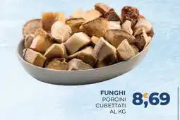Moderna Funghi porcini cubettati offerta