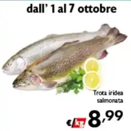 Spak Supermercati Trota iridea salmonata offerta