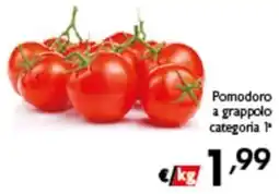 Spak Supermercati Pomodoro a grappolo categoria 1ª offerta