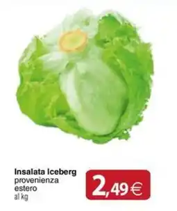 Docks Cash&Carry Insalata Iceberg offerta