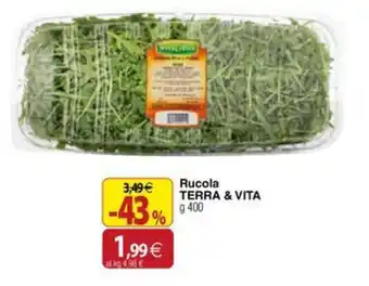 Docks Cash&Carry Rucola TERRA & VITA offerta