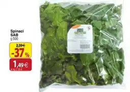 Docks Cash&Carry Spinaci SAB offerta