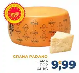 Moderna Grana Padano offerta