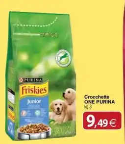 Docks Cash&Carry Crocchette ONE PURINA offerta