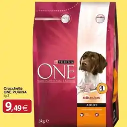 Docks Cash&Carry Crocchette ONE PURINA offerta