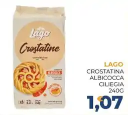 Moderna Lago Crostatine Albicocca offerta