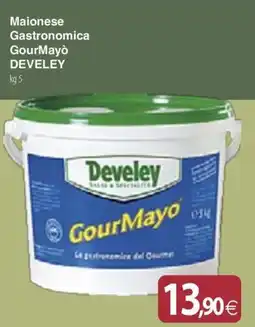 Docks Cash&Carry Maionese Gastronomica GourMayò Develey offerta