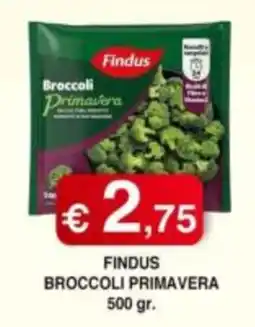 Orsini Market Findus Broccoli Primavera offerta