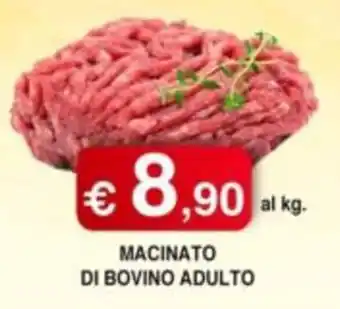 Orsini Market Macinato di bovino adulto offerta