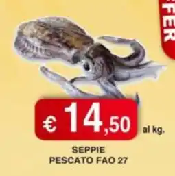 Orsini Market Seppie pescato fao 27 offerta