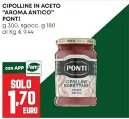 Panorama Cipolline in aceto Ponti offerta